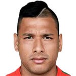 伊布松-梅洛头像,伊布松-梅洛图片