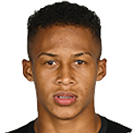 维蒂尼奥头像,维蒂尼奥图片