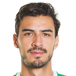 阿拉尼斯头像,阿拉尼斯图片